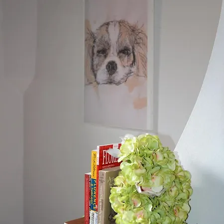 Agnolo Apartament